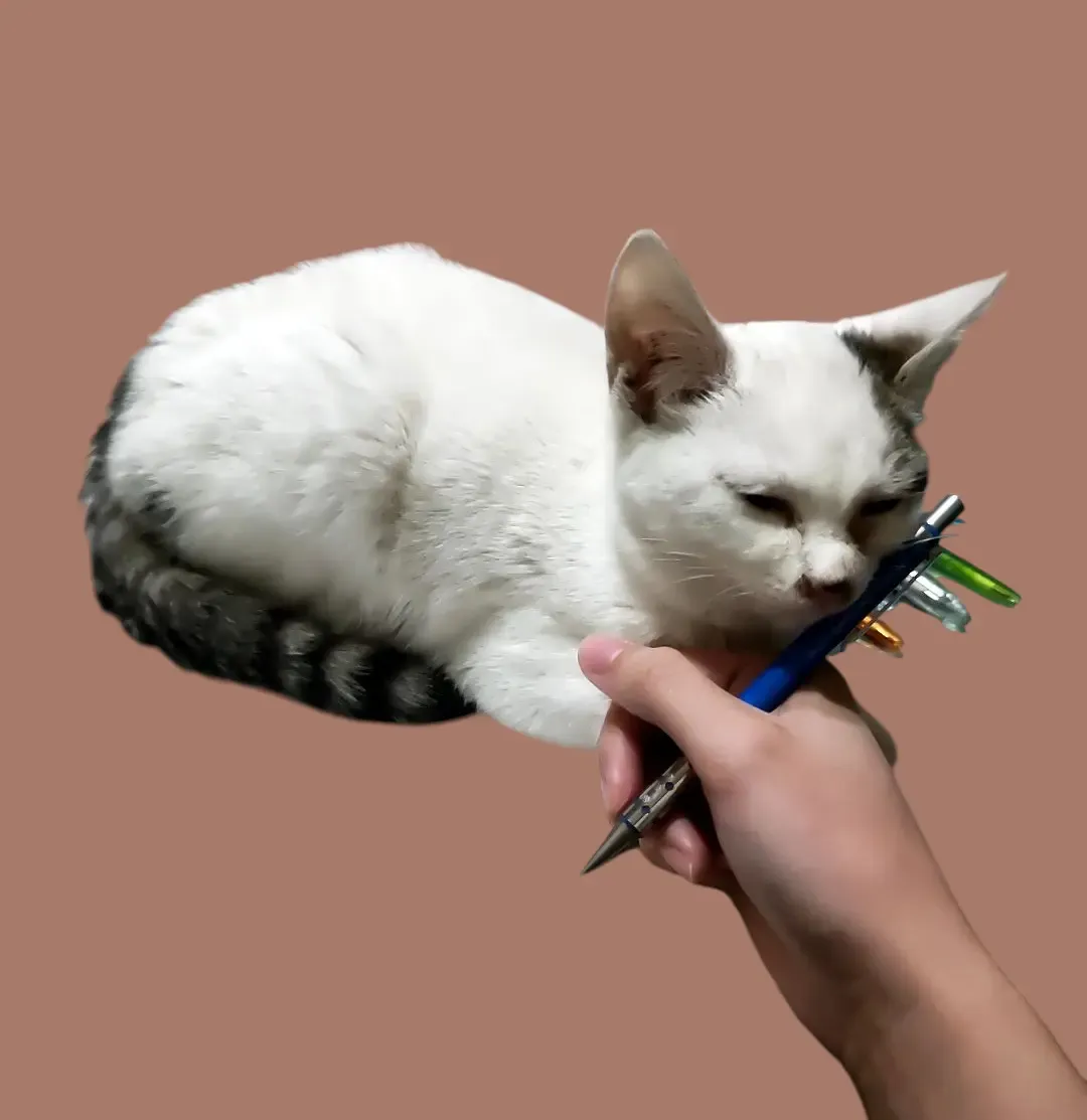 ライターのアイコン