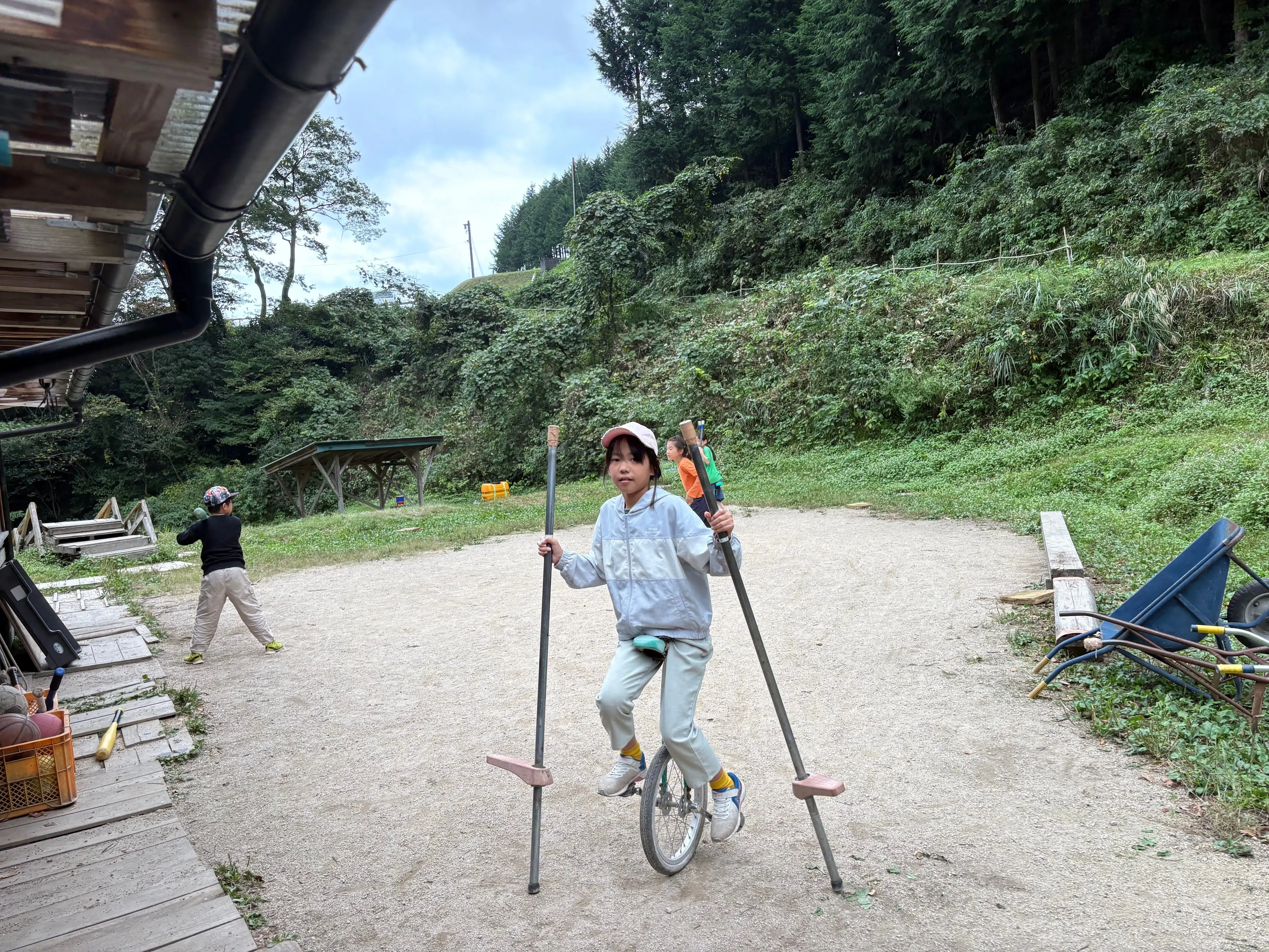 旅する木一輪