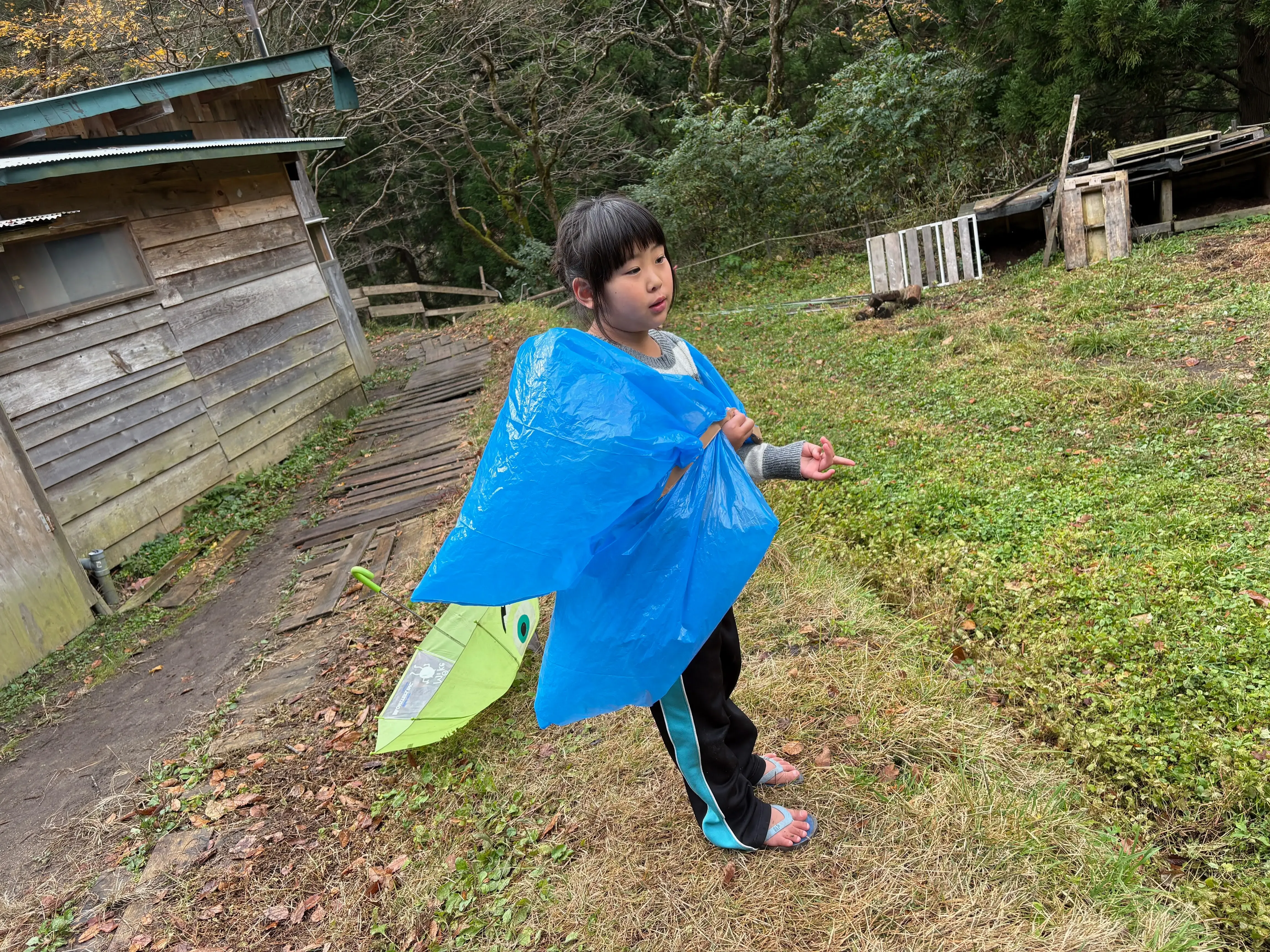 旅する木マント
